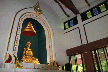 ��и����ȹ�